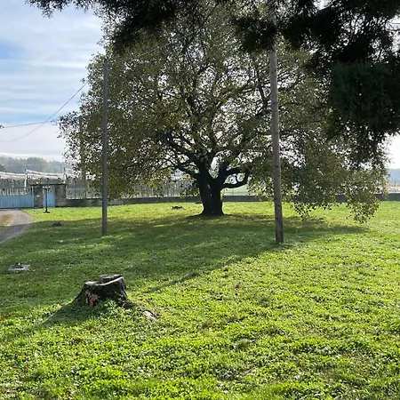 Hébergement de vacances Beeonthetree - Logis 100m2 Jusqu'à 8 Personnes *